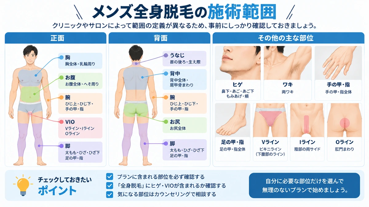全身脱毛の痛み対策 メンズ全身脱毛で痛みが出やすい部位と対策を整理した図