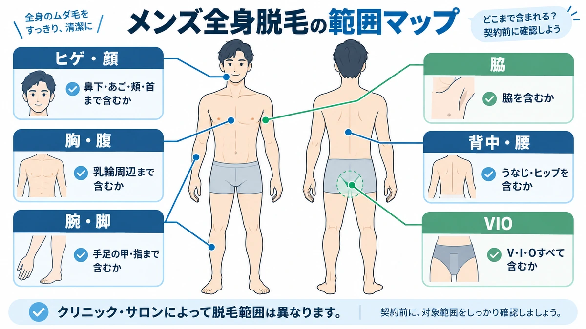 メンズ全身脱毛の範囲マップ メンズ全身脱毛の対象範囲と確認ポイントを整理した図
