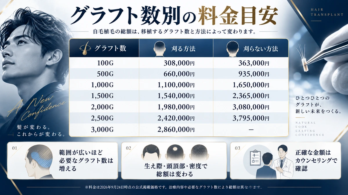 グラフト数別の自毛植毛料金目安をまとめた図解