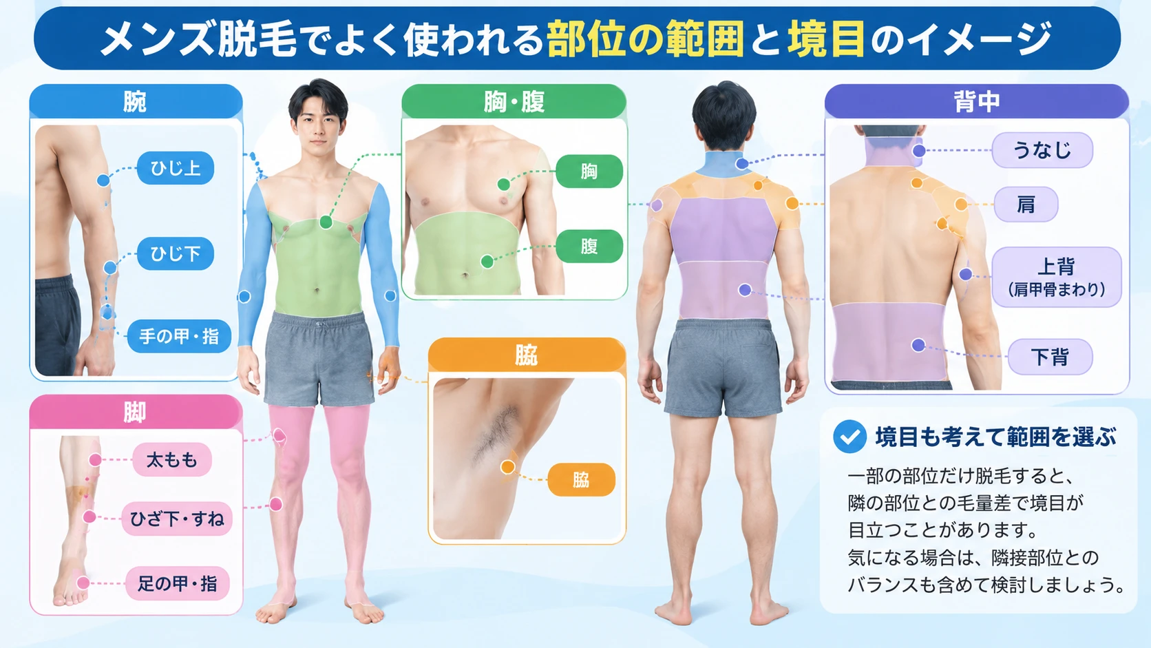 腕や脚や胸や背中などメンズ脱毛の部位の範囲と境目を示した図解